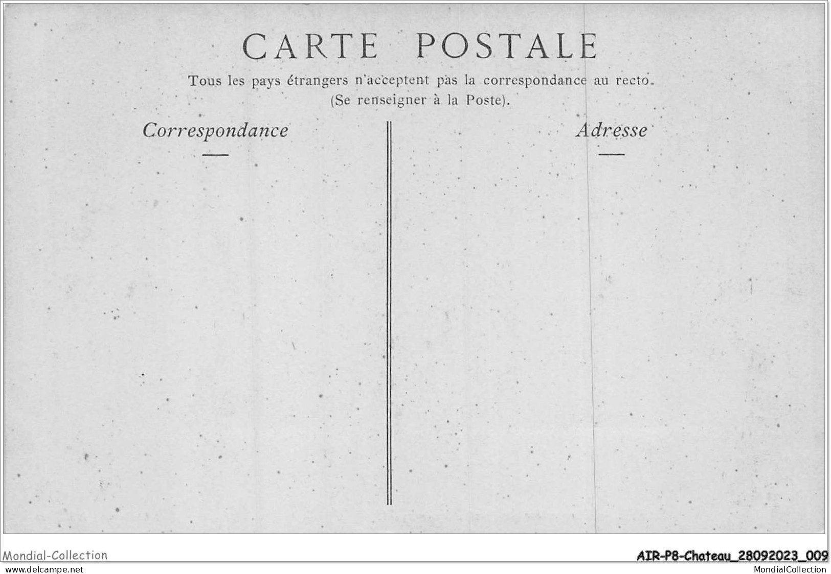 AIRP8-PONT-0828 - Paris - Perpective Du Pont Alexander-III - Ponti