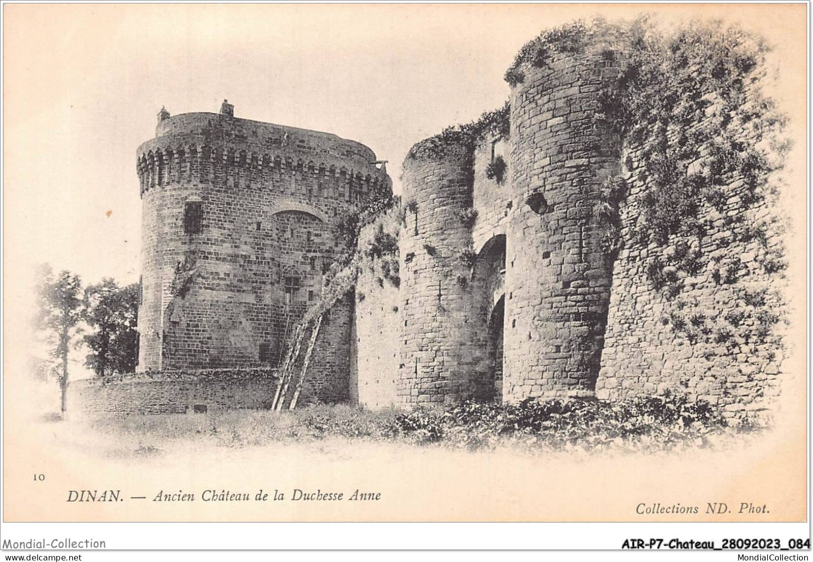 AIRP7-CHATEAU-0732 - Dinan - Ancien Chateau De La Duchesse Anne - Châteaux