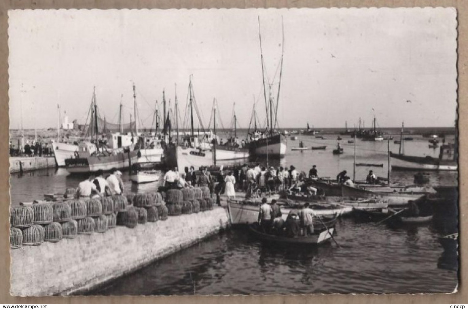 CPSM 29 - LESCONIL - La Cale - TB PLAN ANIMATION Criée Bâteaux Pêche Pêcheurs Arrivée POISSON - Lesconil