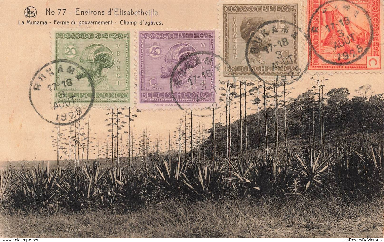 CONGO - Environs D'Elisabethville - La Munama - Ferme Du Gouvernement - Champ D'agaves - Carte Postale Ancienne - Kinshasa - Leopoldville