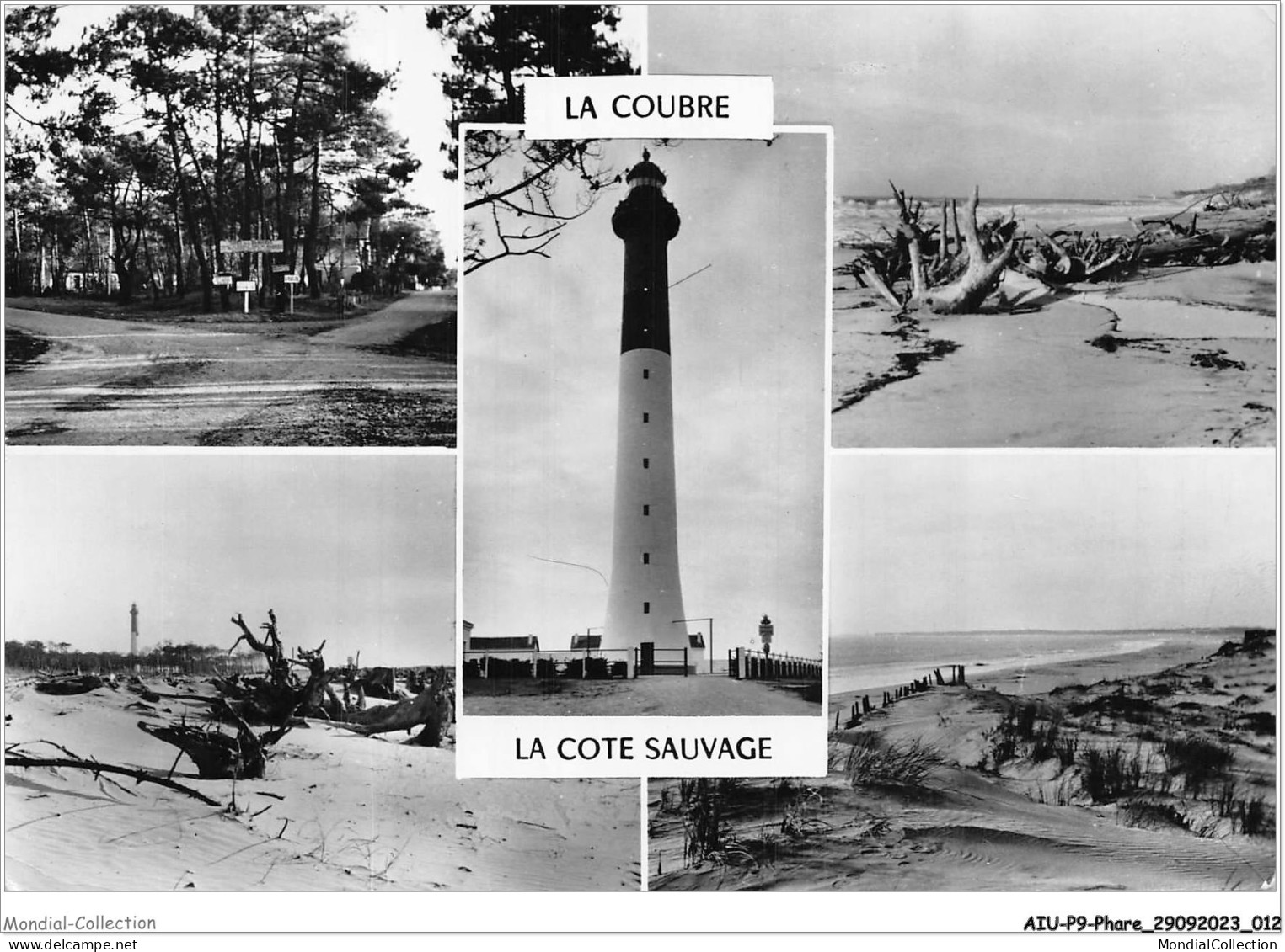 AIUP9-0805 - PHARE - La Coubre - La Cote Sauvage - Lighthouses