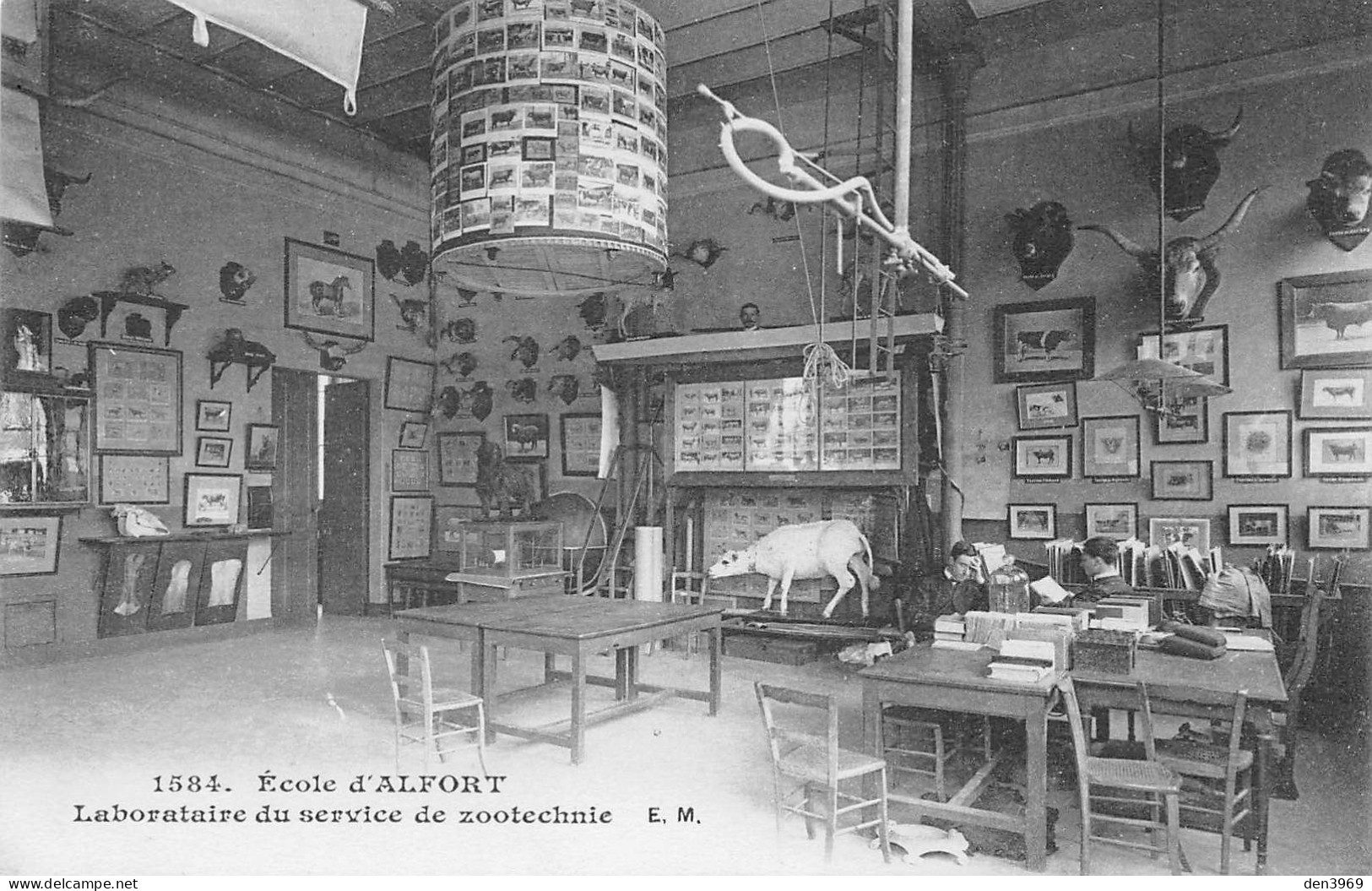 Ecole D'ALFORT (Val-de-Marne) - Laboratoire Du Service De Zootechnie - Maisons Alfort