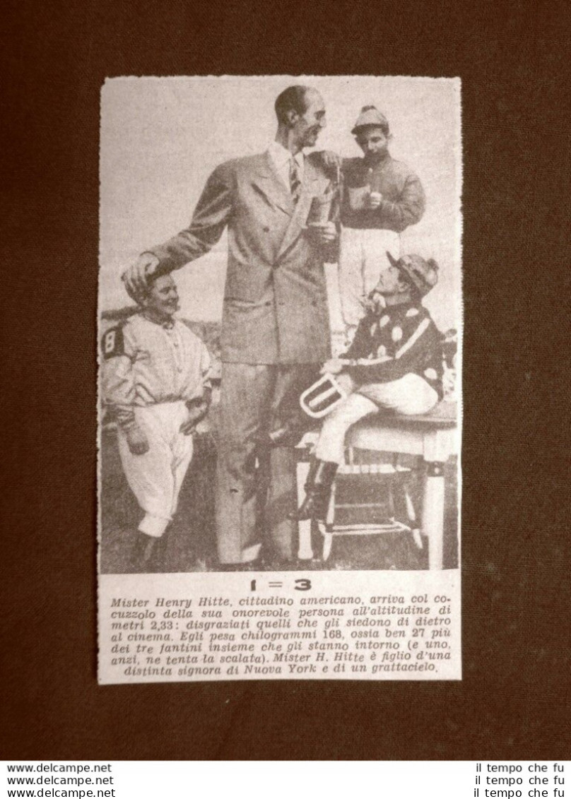 Mr Henry Hitte Di New York Nel 1945 Alto Metri 2,33 - Autres & Non Classés