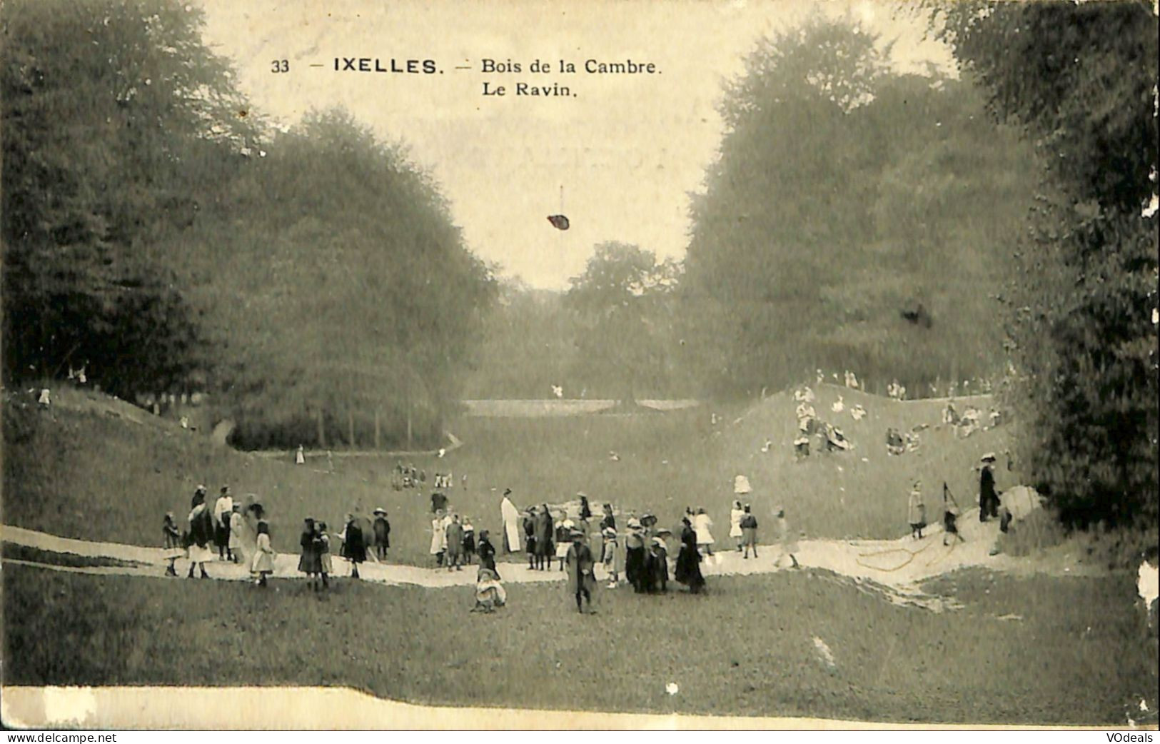 Belgique - Brussel - Bruxelles - Ixelles - Elsene - Bois De La Cambre - Le Ravin - Elsene - Ixelles