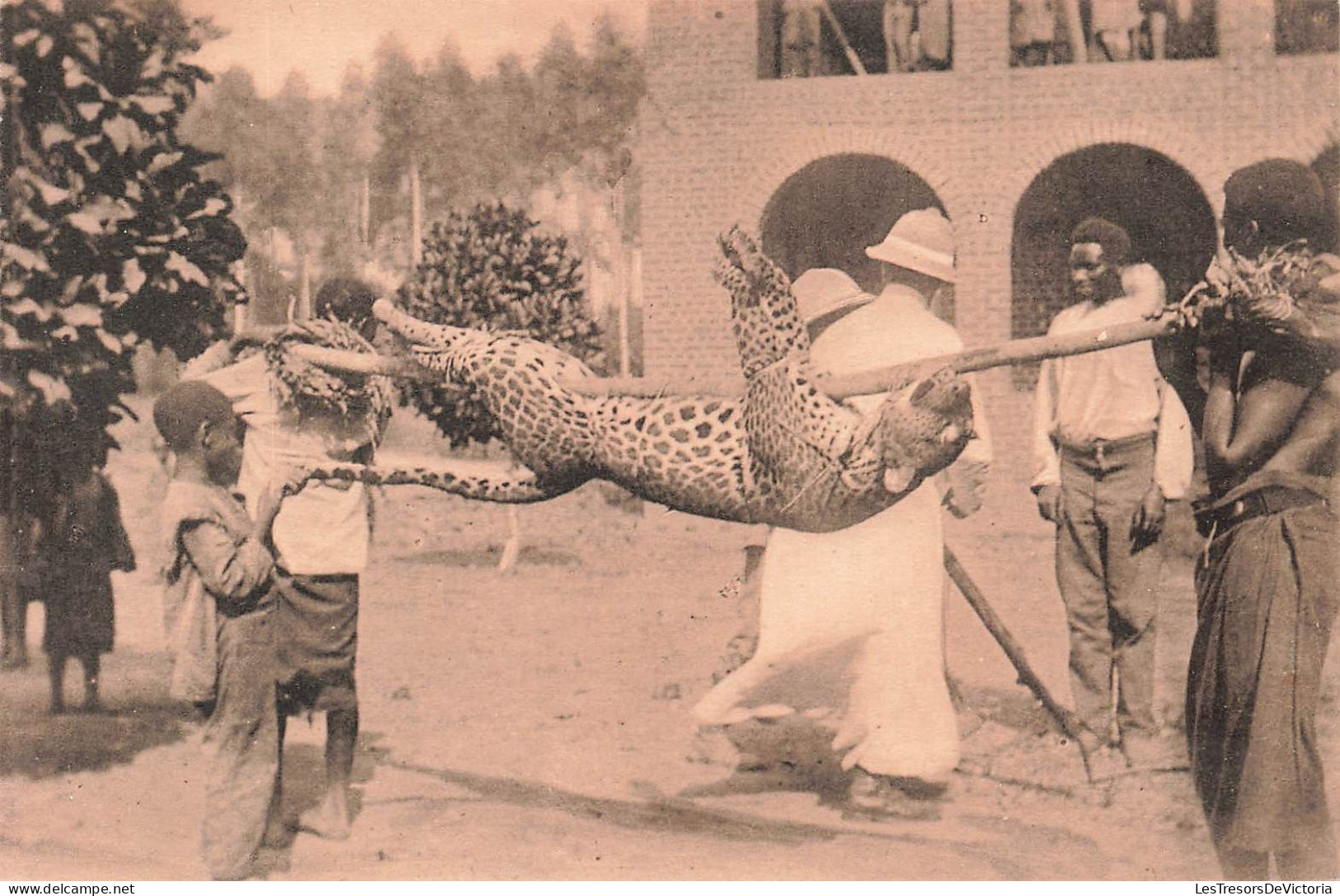 CONGO BELGE - Une Belle Capture - Léopard - Animé - Carte Postale Ancienne - Belgisch-Kongo