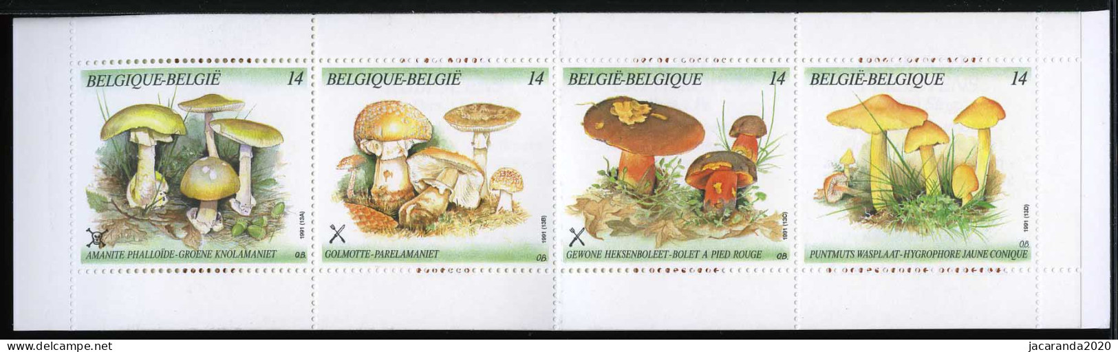 België B21 - Natuur - Paddestoelen - Nature - Champignons - 1991 - 1953-2006 Moderni [B]