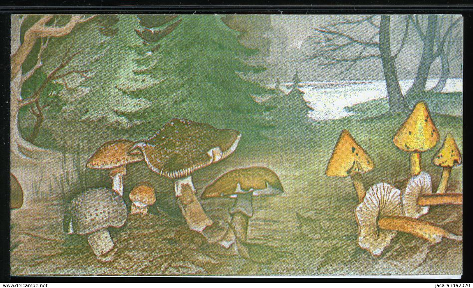 België B21 - Natuur - Paddestoelen - Nature - Champignons - 1991 - 1953-2006 Moderni [B]