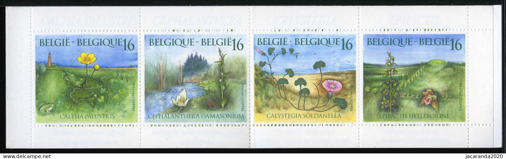 België B25 - Natuur - Planten - Nature - Plantes - 1994 - 1953-2006 Moderne [B]