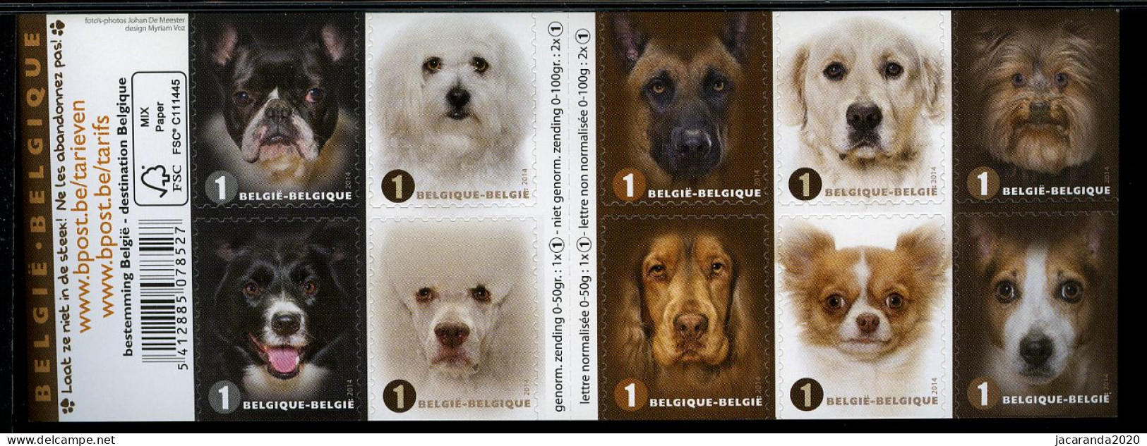 België B145 - Honden Naderbij - Faces De Chiens - Zelfklevend - Autocollants - 2014 - 1997-… Permanent Validity [B]