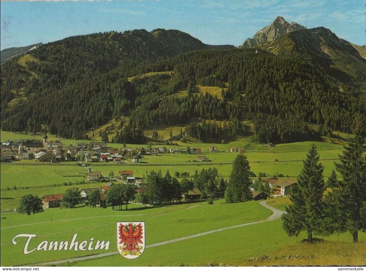 32987 - Österreich - Tannheim - Mit Gaishorn - 1982 - Tannheim