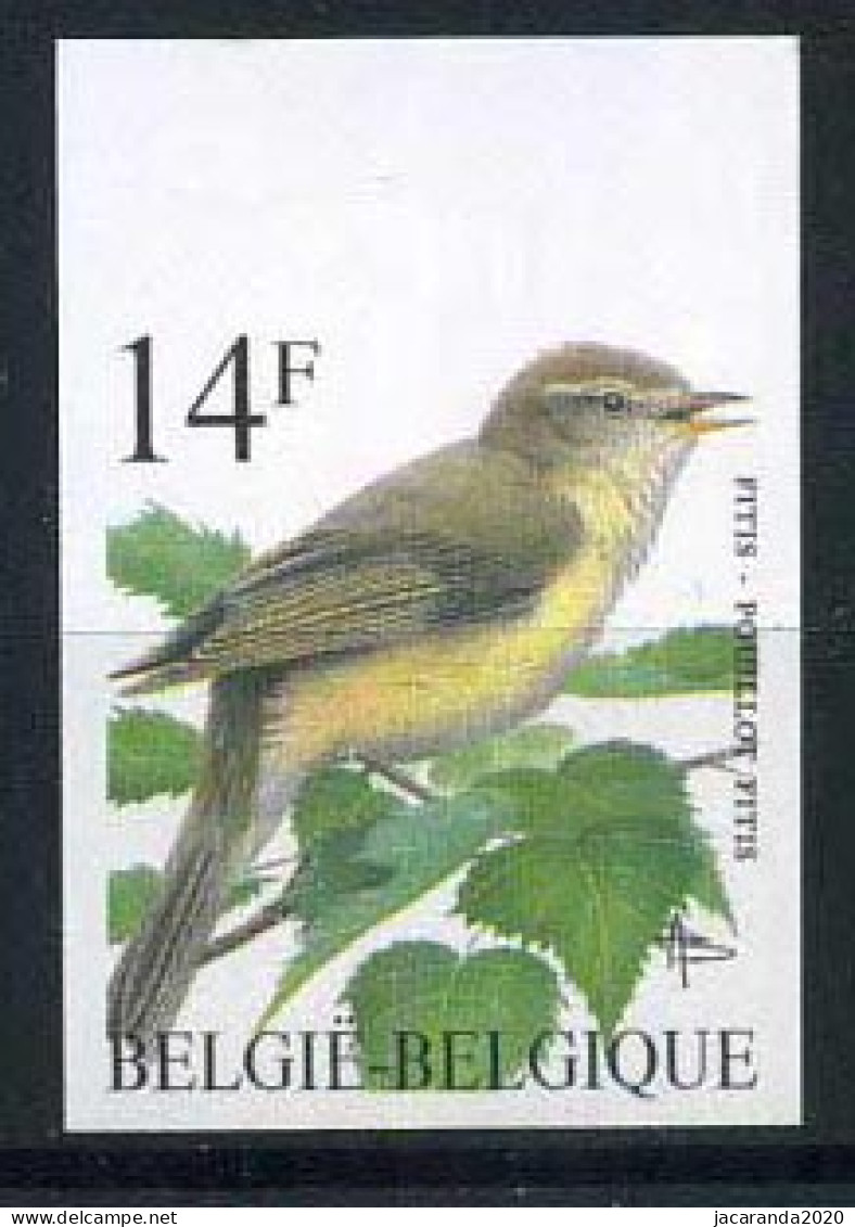 België 2623 ON - Vogels - Oiseaux - André Buzin - Fitis - 1981-2000