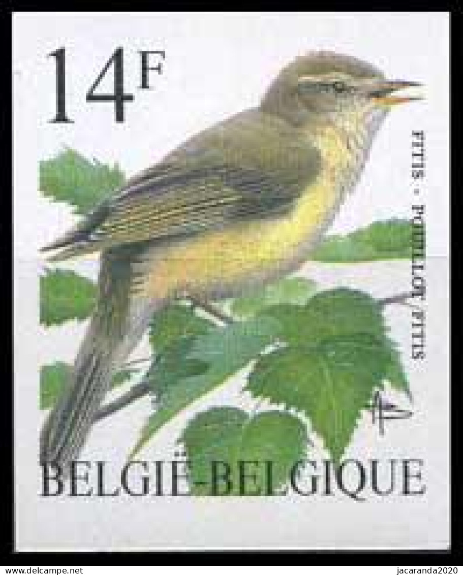 België 2623 ON - Vogels - Oiseaux - André Buzin - Fitis - Ongetand - Non Dentelé - 1981-2000