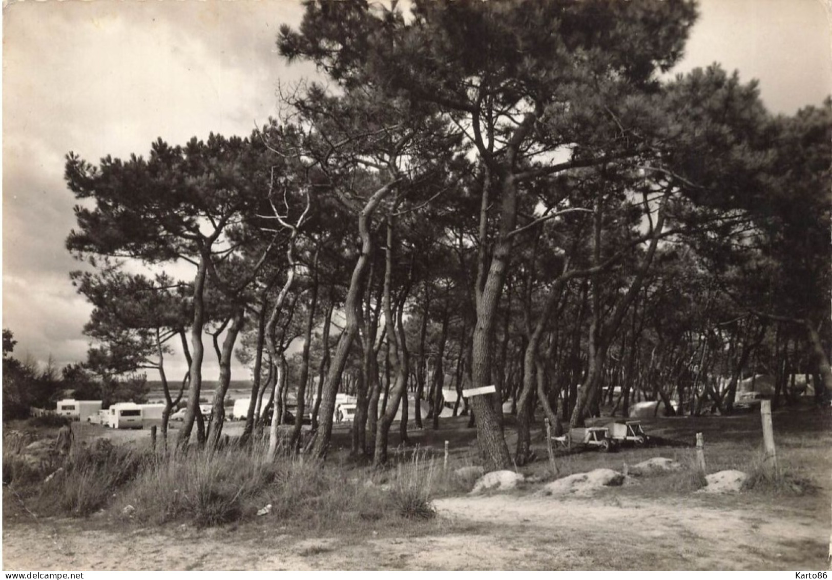 Ile Tudy * Le Bois Et Camping Du GCU - Ile Tudy