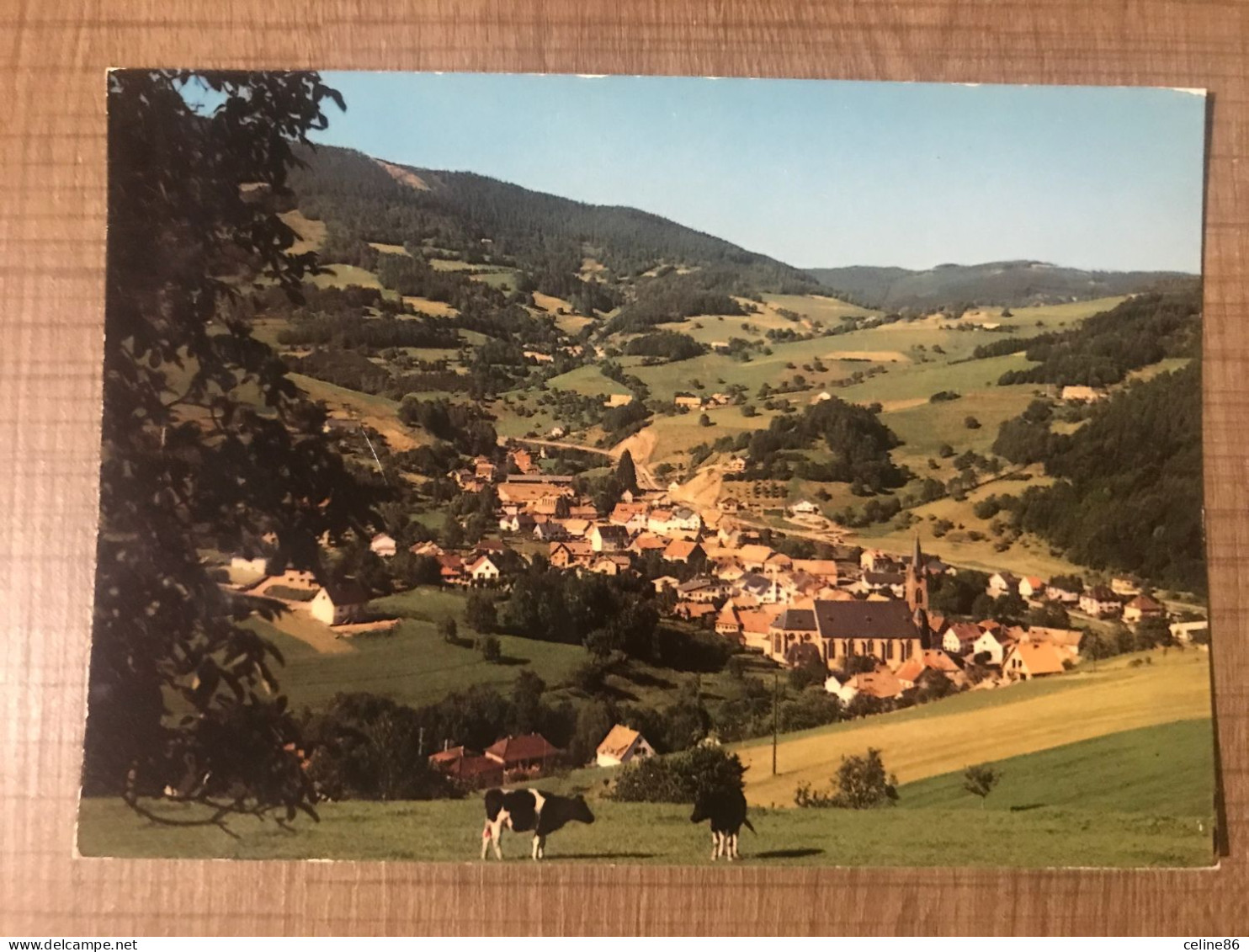 LAPOUTROIE Montagne De Ribeaugoutte - Lapoutroie