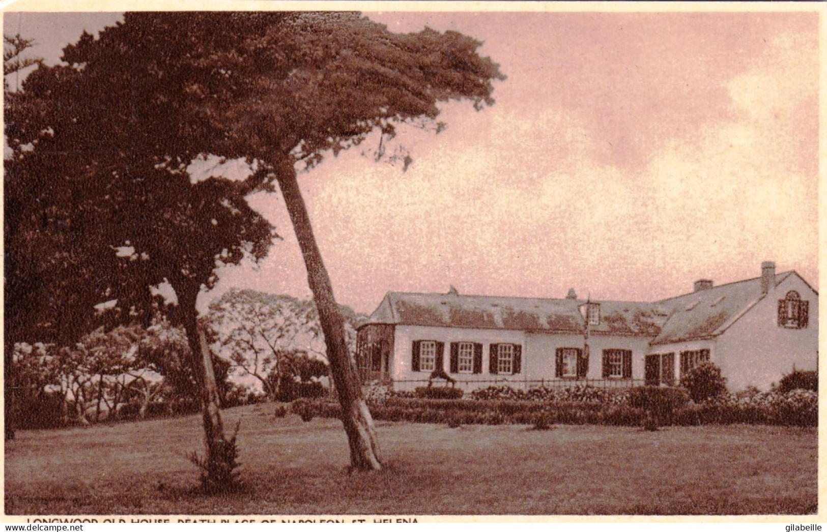 SAINTE HELENE - SAINT HELENA - Longwood Old House Death Place Of Napoleon - Santa Helena