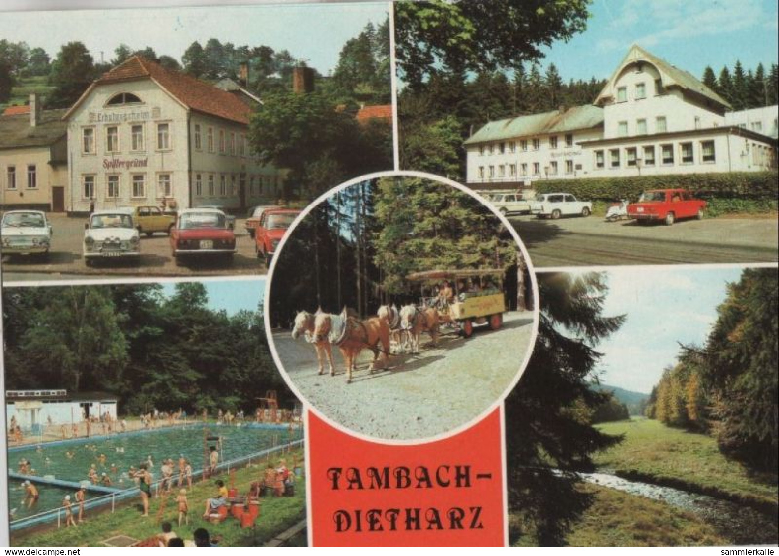 88535 - Tambach-Dietharz - U.a. Kutschfahrt Im Thüringer Wald - 1986 - Tambach-Dietharz