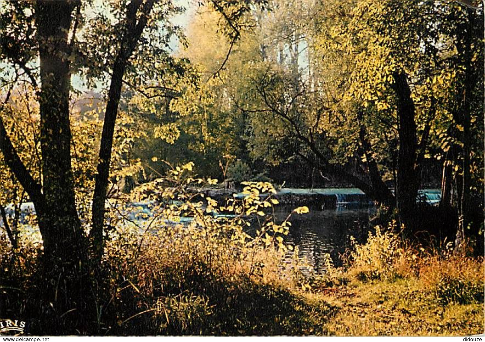 77 - Bagneaux Sur Loing - Les Barrages Sur Le Loing Au Moulin De Glandelle - CPM - Voir Scans Recto-Verso - Bagneaux Sur Loing