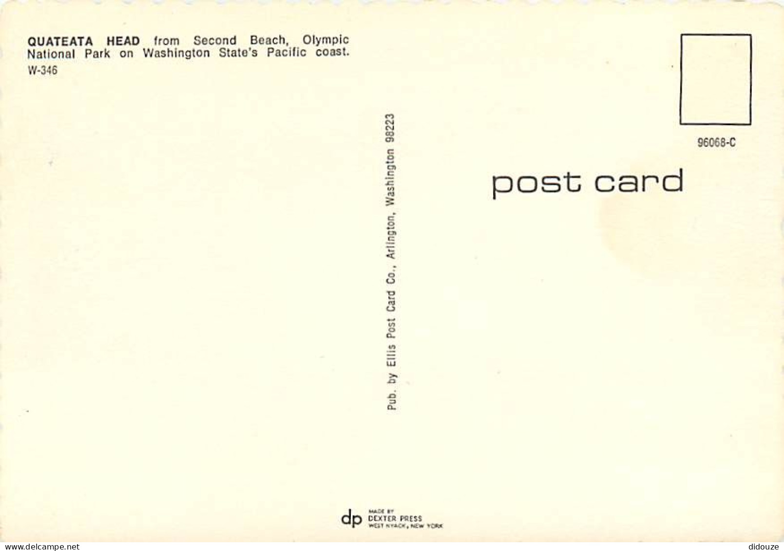 Etats Unis - Quateata Head On Washington Seacoast - Etat De Washington - Washington State - Carte Dentelée - CPSM Grand  - Andere & Zonder Classificatie