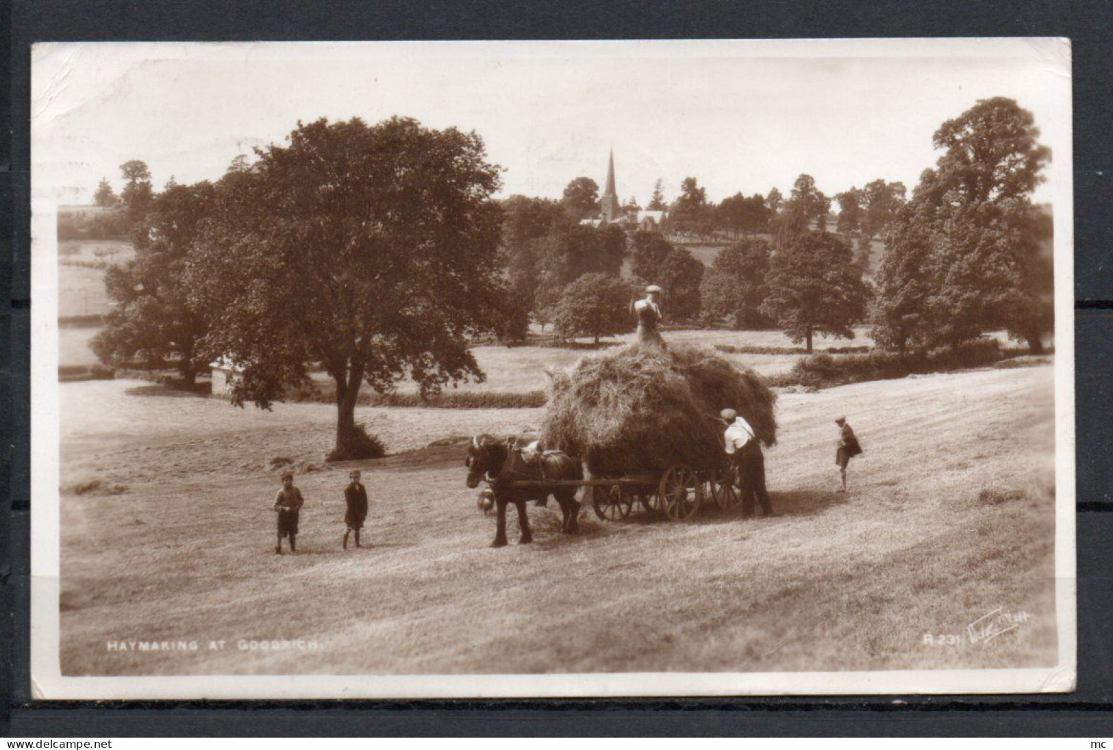 Angleterre - Haymaking At Goodrich - Carte Photo - Herefordshire