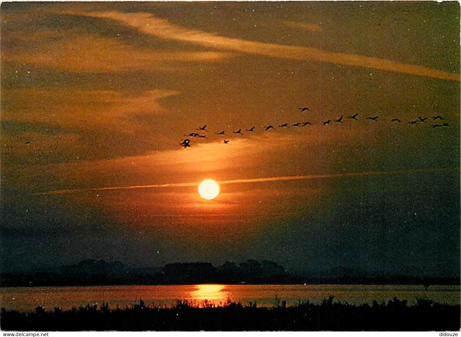 Coucher De Soleil - CPM - Voir Scans Recto-Verso - Contre La Lumière