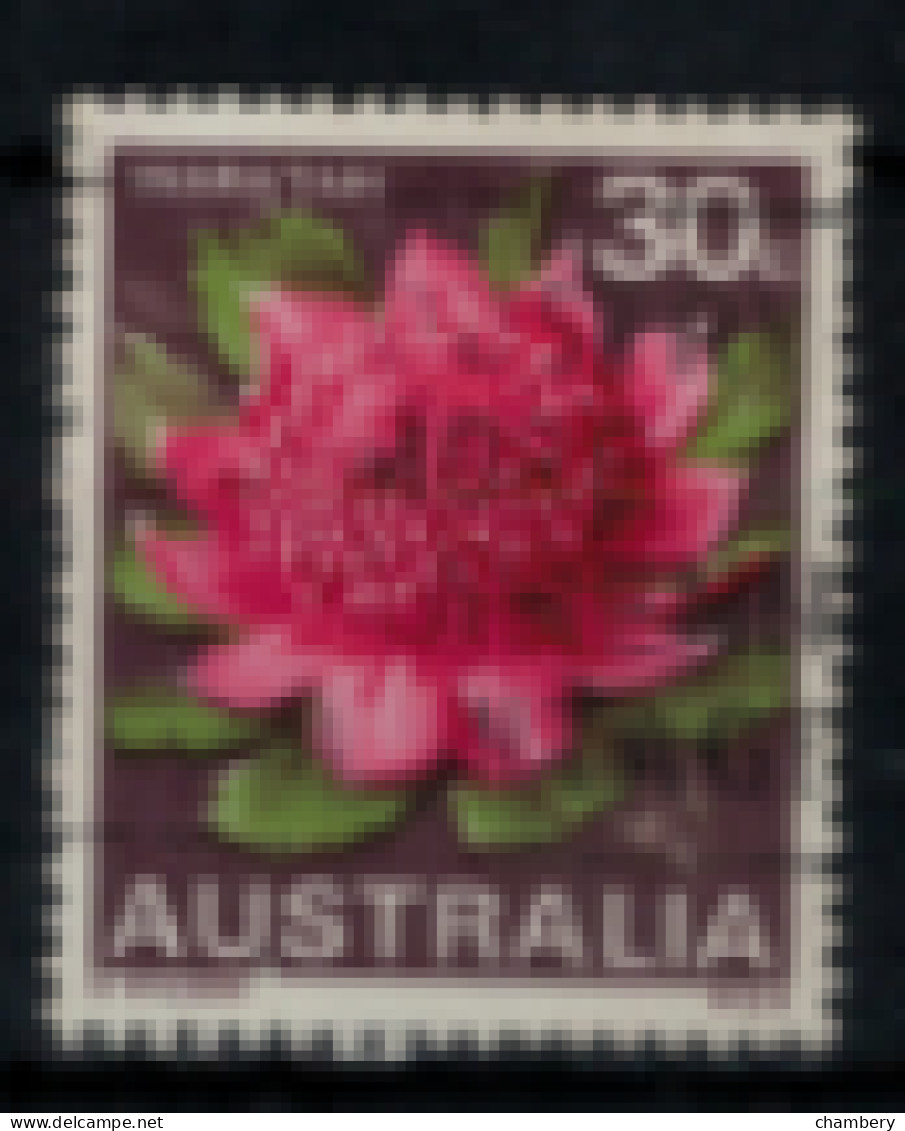 Australie - "Emblème Des Etats : Waratah - Nlles Galles Du Sud" - Oblitéré N° 372 De 1968 - Usati