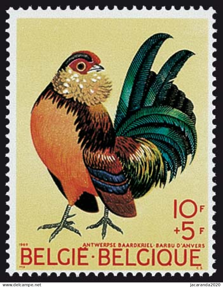 België 1513 - Dieren - Neerhodfieren - Antwerpse Baardkriel - Coq Nain Barbu - Ongebruikt