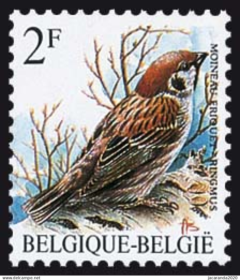 België 2347 - Vogels - Oiseaux - André Buzin - Ringmus - Moineau Friquet - Nuevos