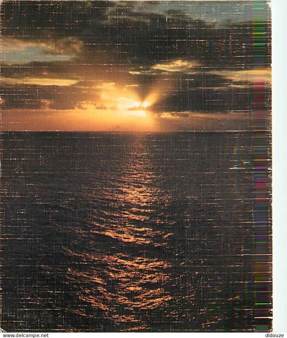 Coucher De Soleil - CPM - Voir Scans Recto-Verso - Contre La Lumière