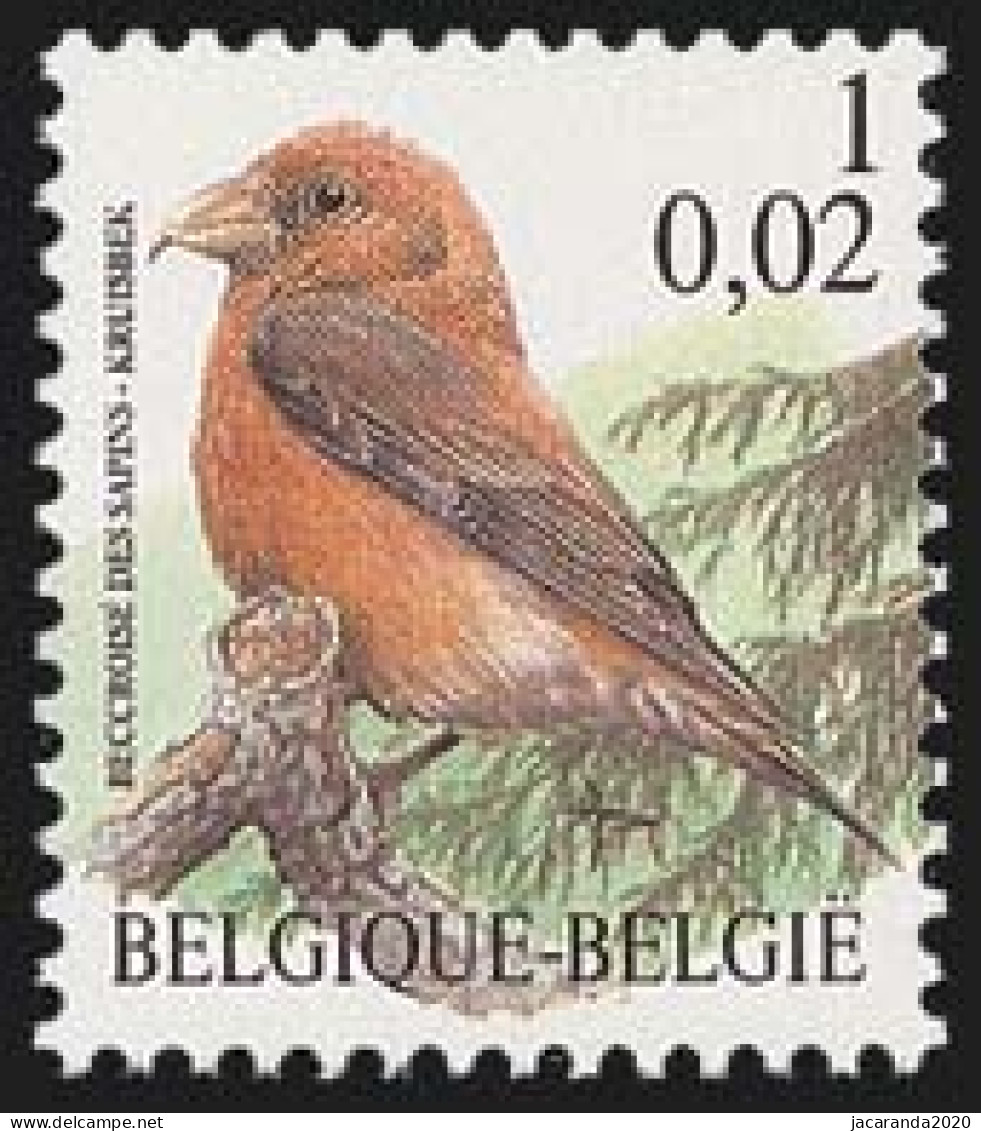 België 2918 - Vogels - Oiseaux - André Buzin - Kruisbek - Beccroisé Des Sapins - Nuovi