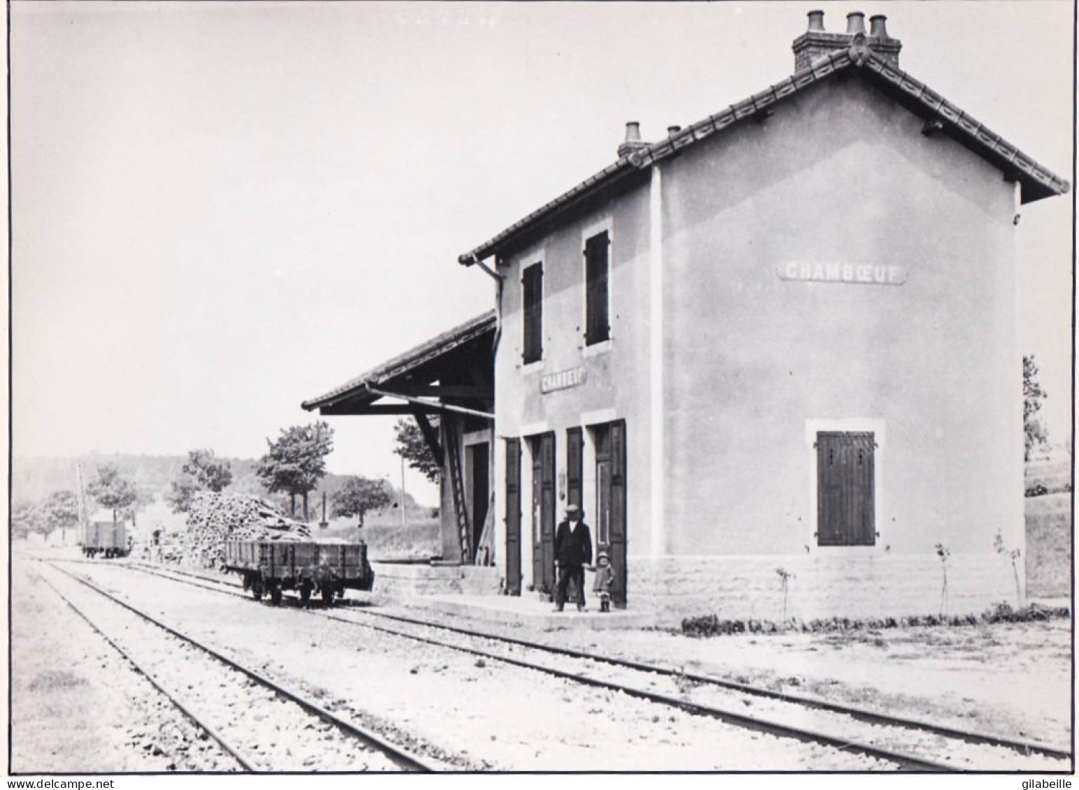 Photo 24.0 X 18.0 Cm  - Gare De CHAMBOEUF  Ligne De Gevrey A Beaune - Retirage - Luoghi
