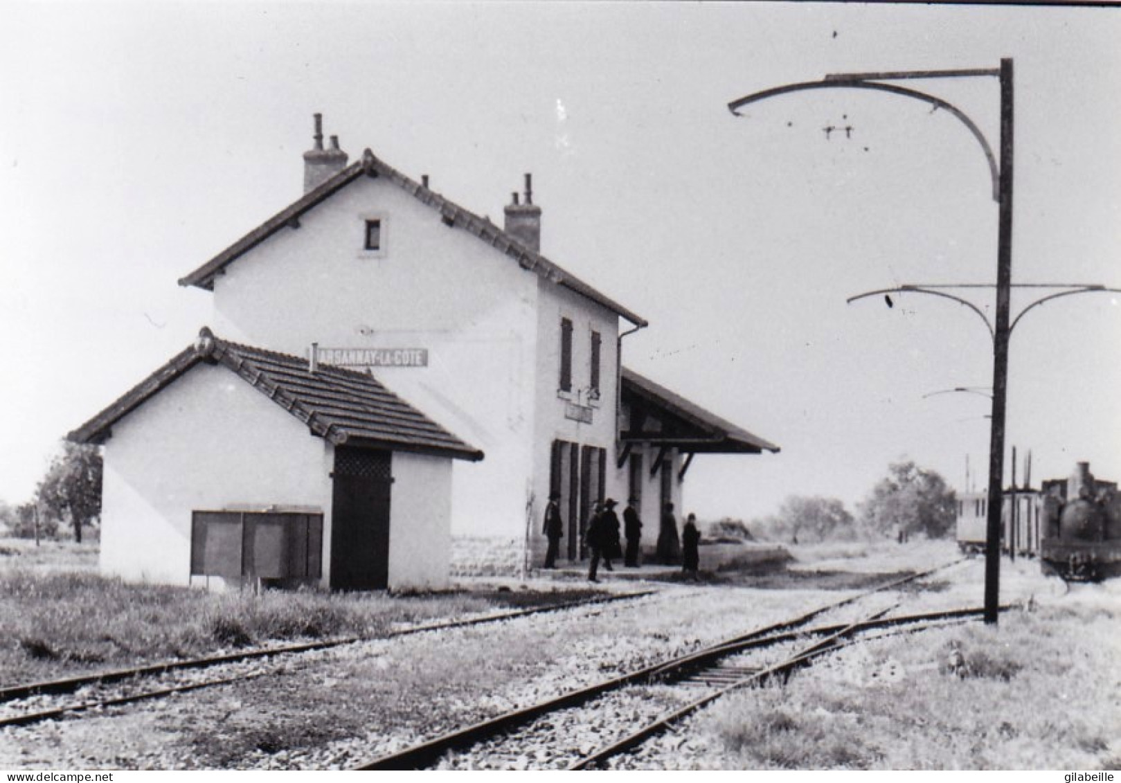 Photo - Chemin De Fer Cote D'or - Arrivée D'un Train Vapeur Venant De Beaune En Gare De Marsannay La Cote - Retirage - Non Classés