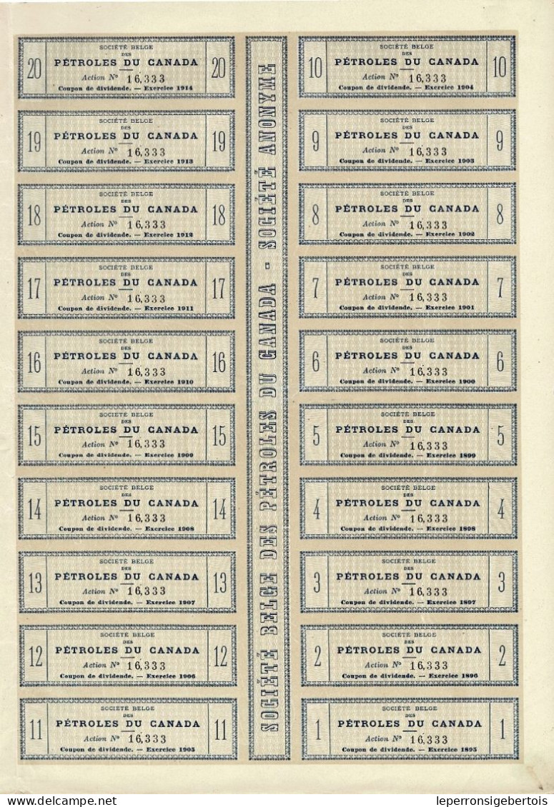 - Titre De 1894  - Société Belge Des Pétroles Du Canada - Société Anonyme - - Petróleo