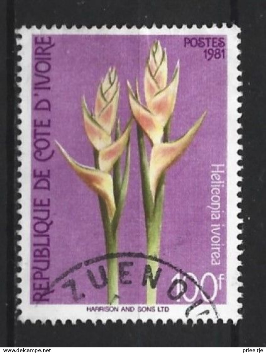 Côte D'Ivoire 1981 Flowers Y.T 579  (0) - Côte D'Ivoire (1960-...)