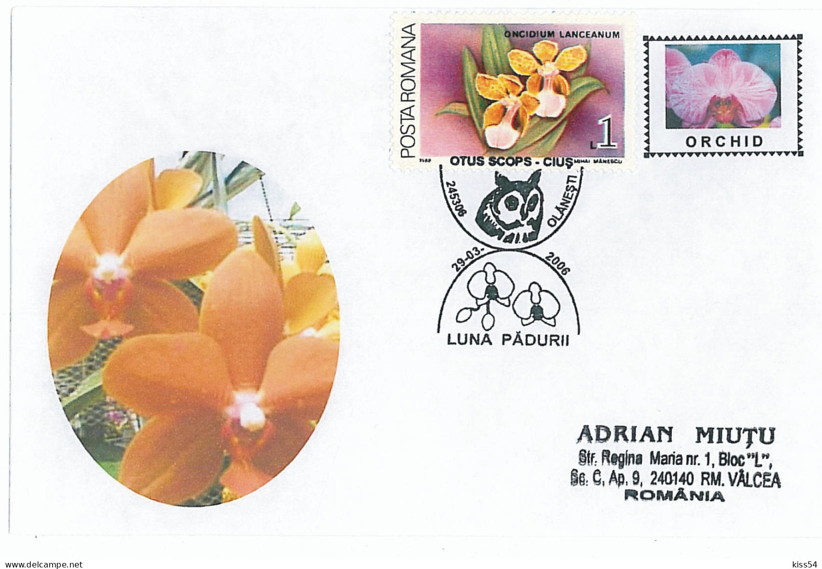 CV 26 - 238 ORCHID, Romania - Cover - Used - 2006 - Cartes-maximum (CM)