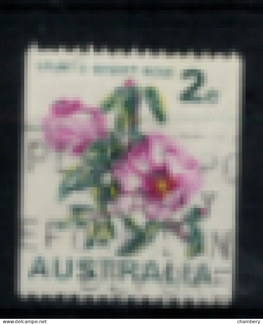 Australie - "Rose Du Désert De Sturt : Type De 1966/70" - Oblitéré N° 447 De 1966/70 - Usati