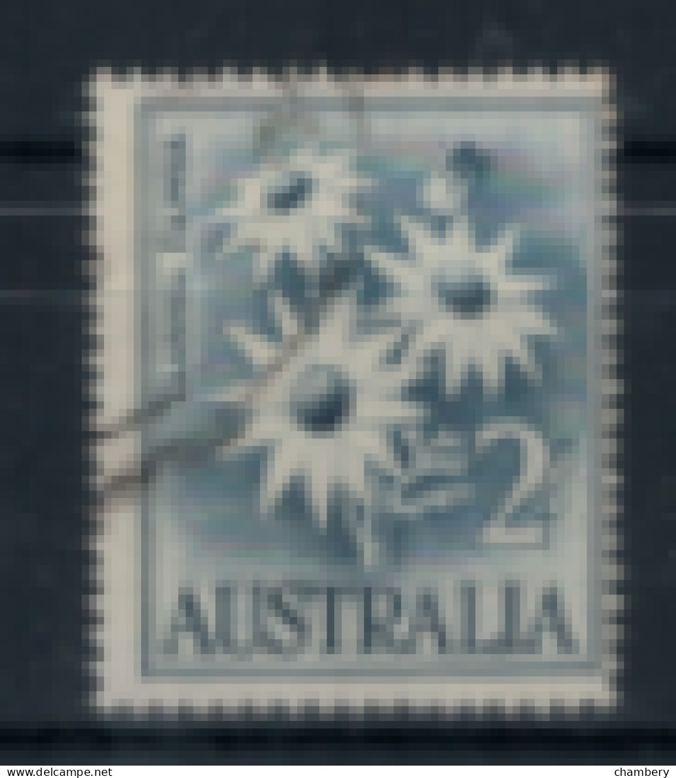 Australie - "Fleur : Flanel" - Oblitéré N° 267 De 1959/62 - Used Stamps