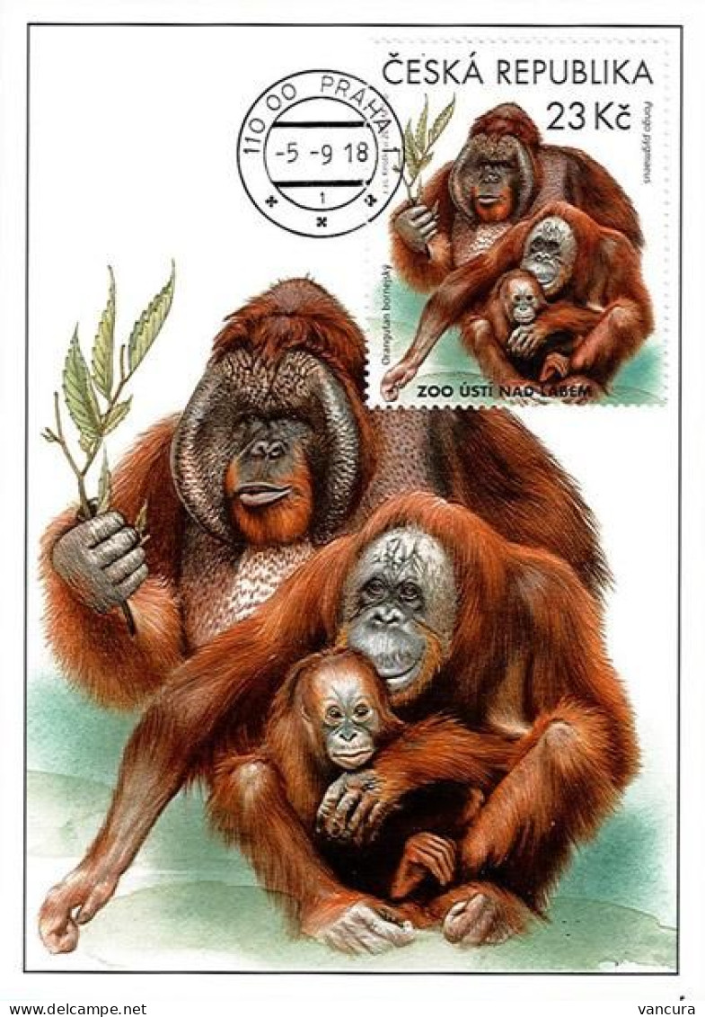 CM 992 Czech Rep. Nature Protection: Zoological Gardens III 2018 Orangutan - Monkeys