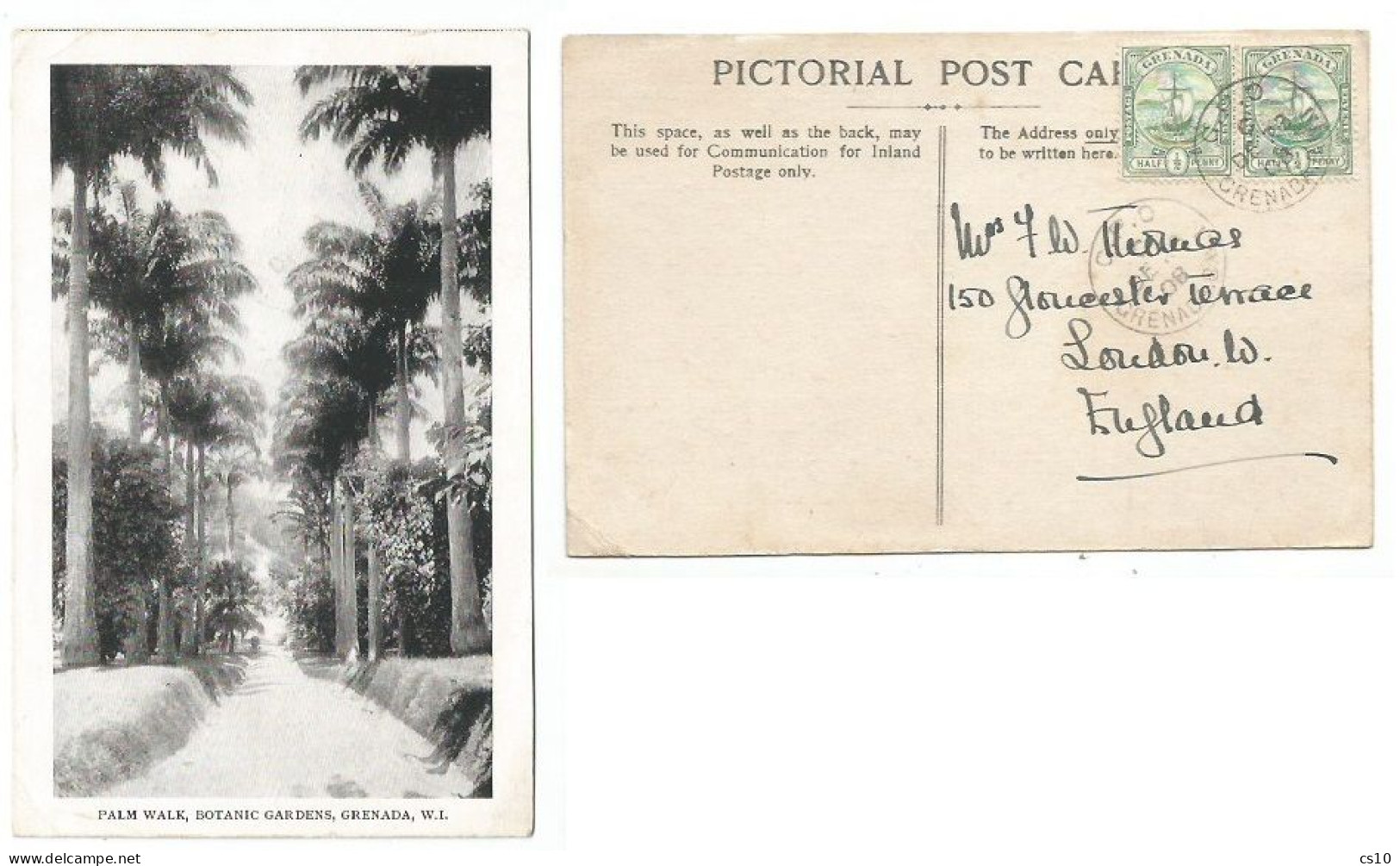 Grenada Br. West Indies B/w Pcard Palm Walk At Botanic Gardens 23dec1908 To England With Regular Half Penny In Pair - Protezione Dell'Ambiente & Clima