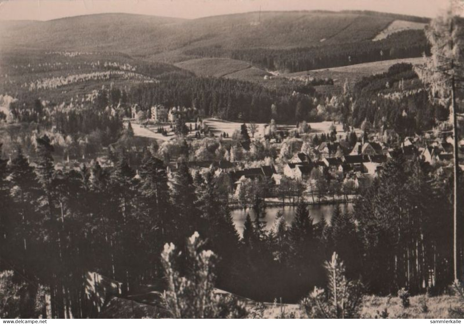 80361 - Georgenthal - Blick Zum Ziegelberg - 1959 - Georgenthal