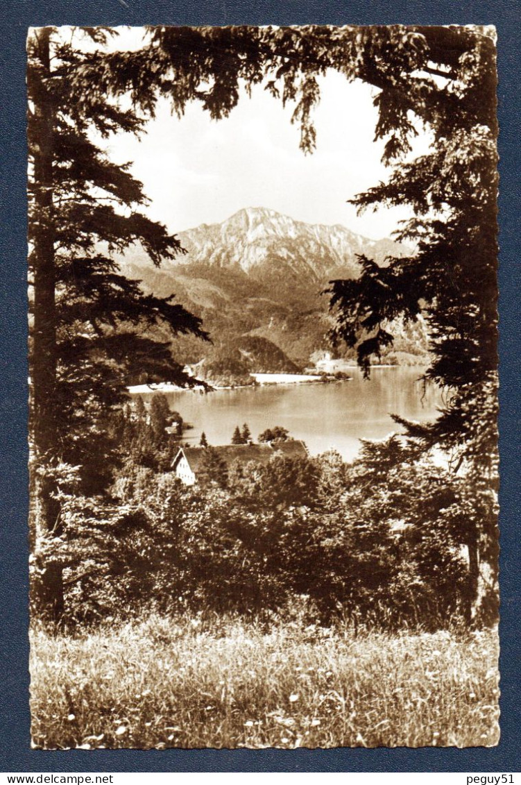 Kochel Am See ( Bad Tölz- Wolfratshausen). Blick Auf Herzogstand. Lac De Kochem Avec Le Sommet Du Herzogstand. 1957 - Bad Toelz