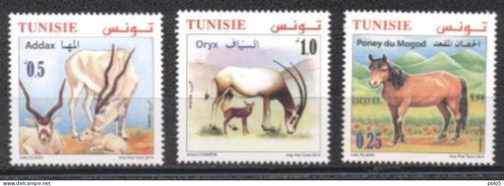 Tunisie 2019- Animaux En Danger D'extinction En Tunisie Série (3v) - Tunisia (1956-...)