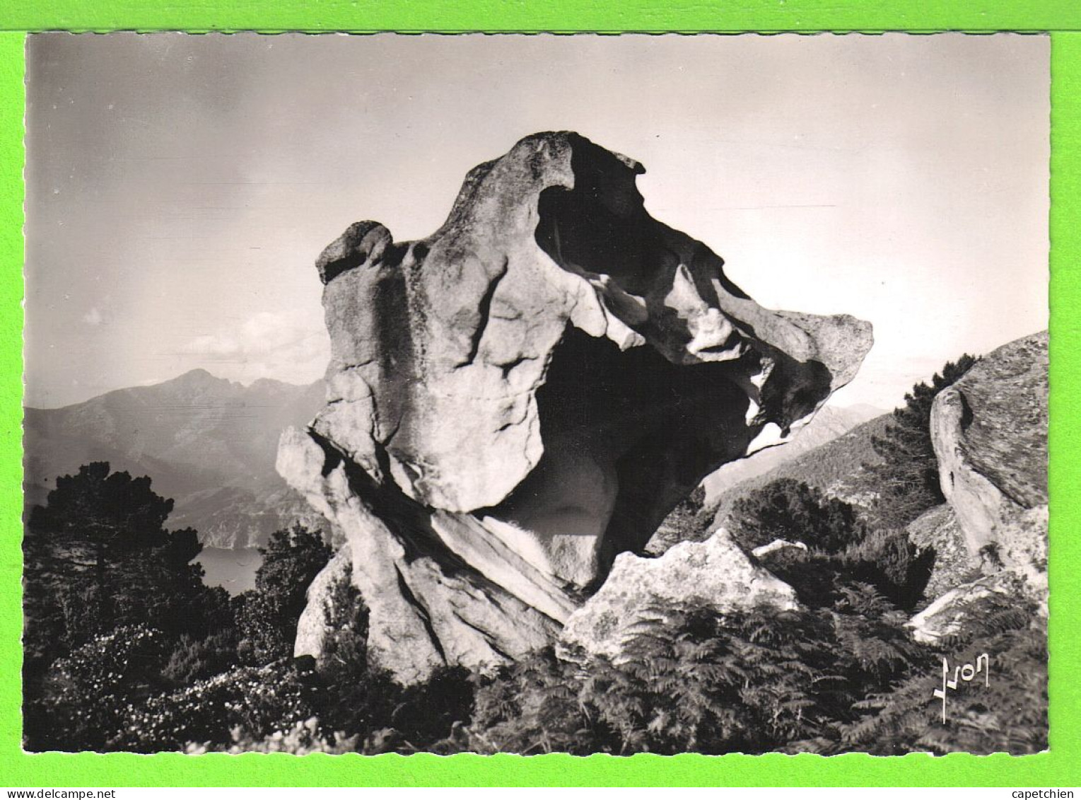 PIANA - ROCHERS DES CALANCHE - LA TÊTE DE CHIEN - Carte Vierge - Corse