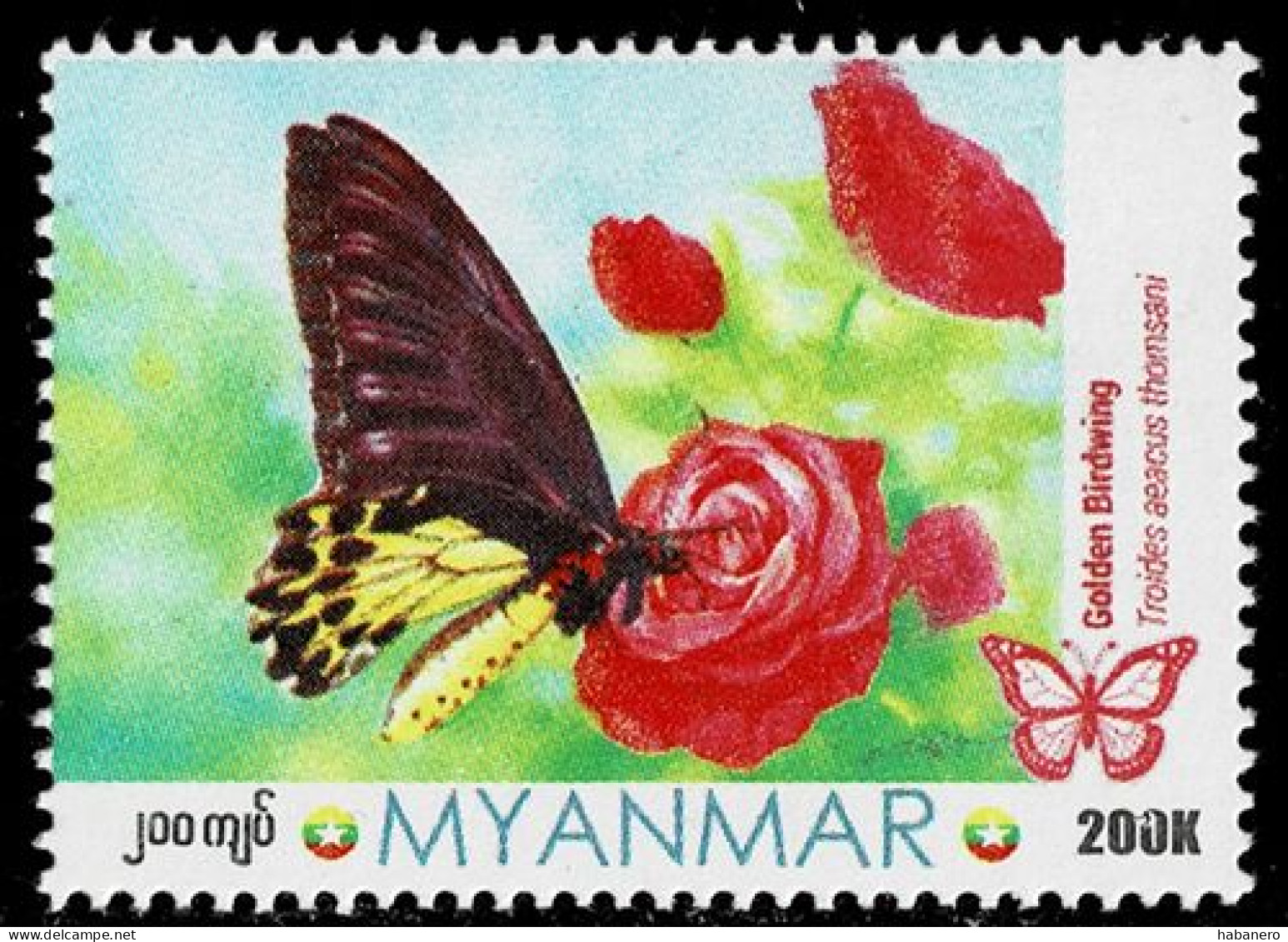 MYANMAR 2024 GOLDEN BIRDWING BUTTERFLY MINT STAMP ** - Myanmar (Burma 1948-...)