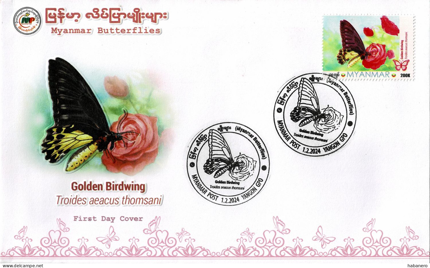 MYANMAR 2024 GOLDEN BIRDWING BUTTERFLY FDC - Myanmar (Burma 1948-...)