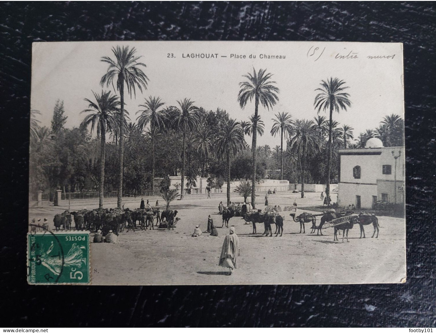 CPA   LAGHOUAT   Place Du Chameau   N° 23 - Laghouat