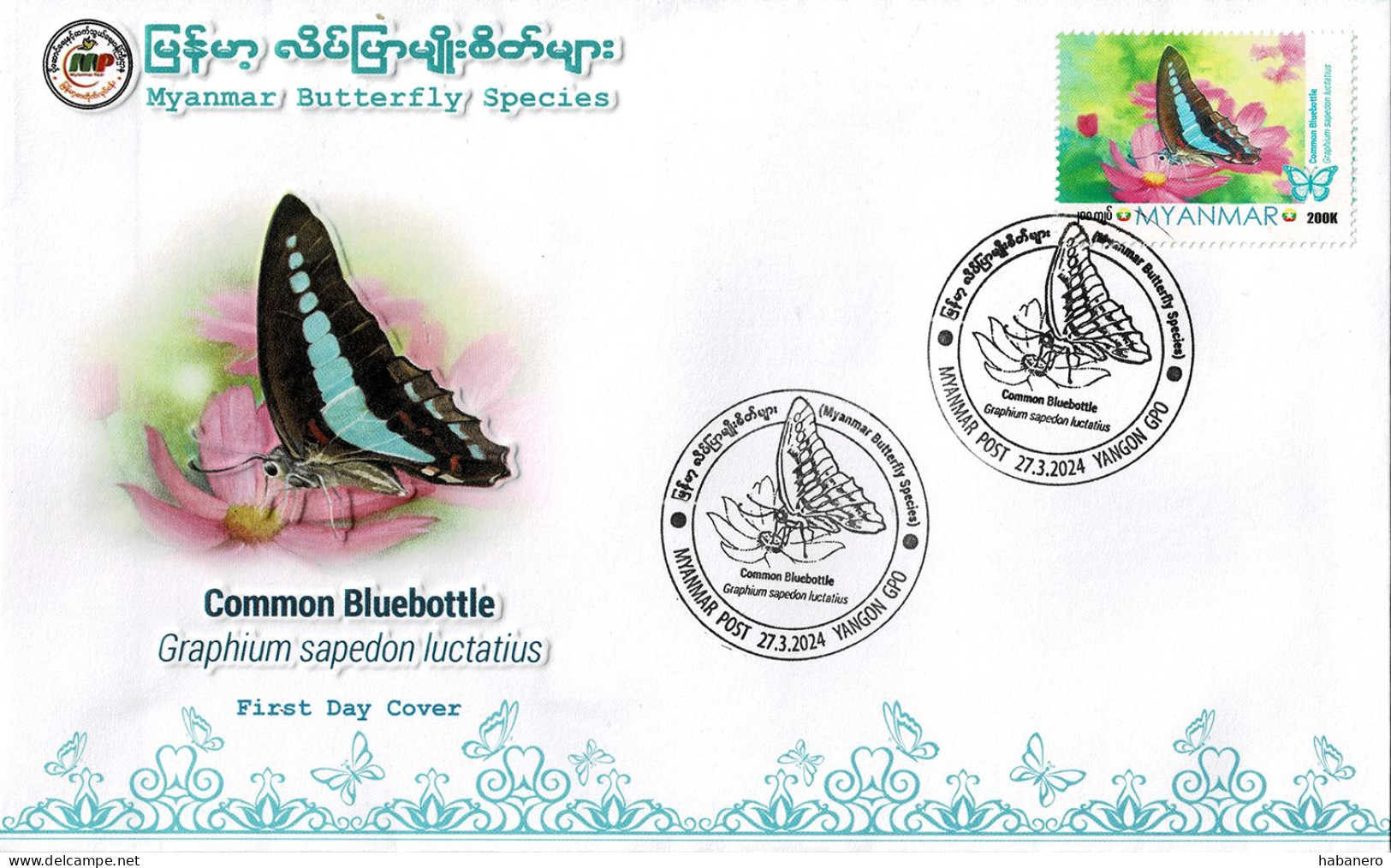MYANMAR 2024 COMMON BLUEBOTTLE BUTTERFLY FDC - Myanmar (Birma 1948-...)