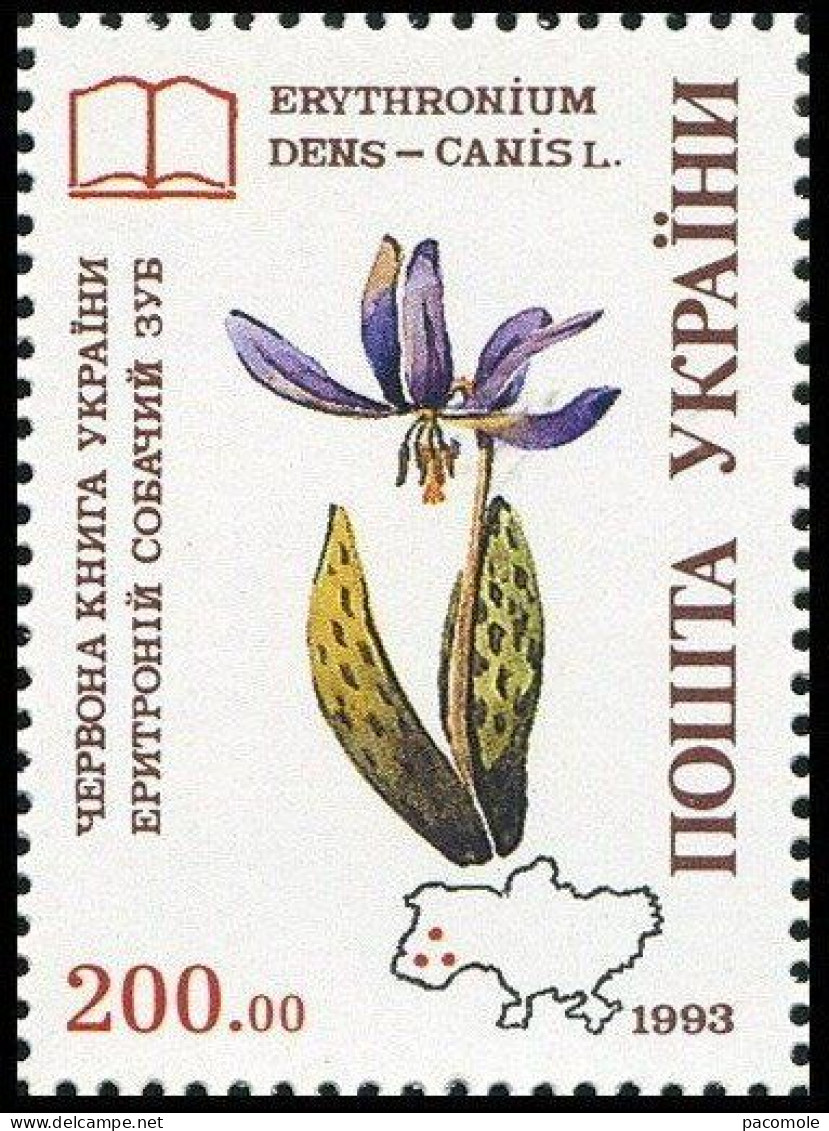 Ukraine - Protection De La Nature - Orchidées - Ucraina