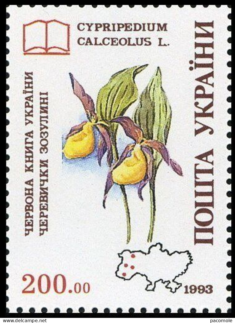 Ukraine - Protection De La Nature - Orchidées - Ucraina