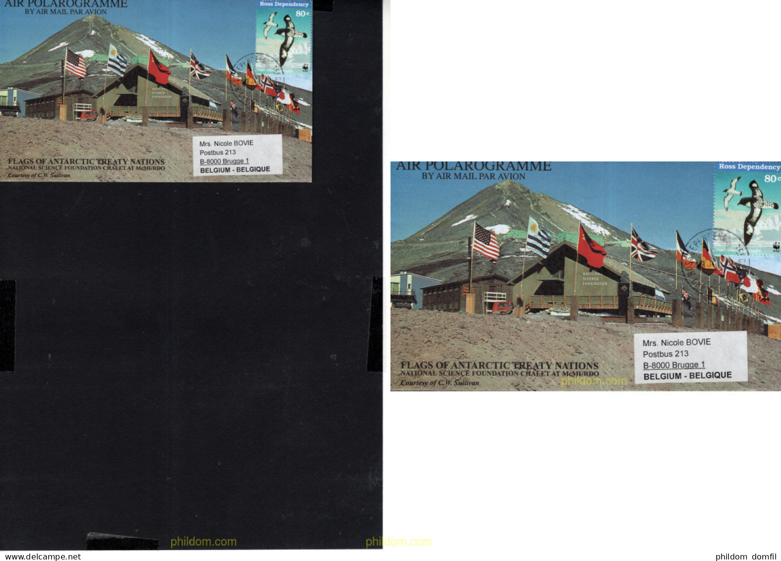 705061 MNH NUEVA ZELANDA. Dependencia Ross 1997 AVES MARINAS - Ungebraucht