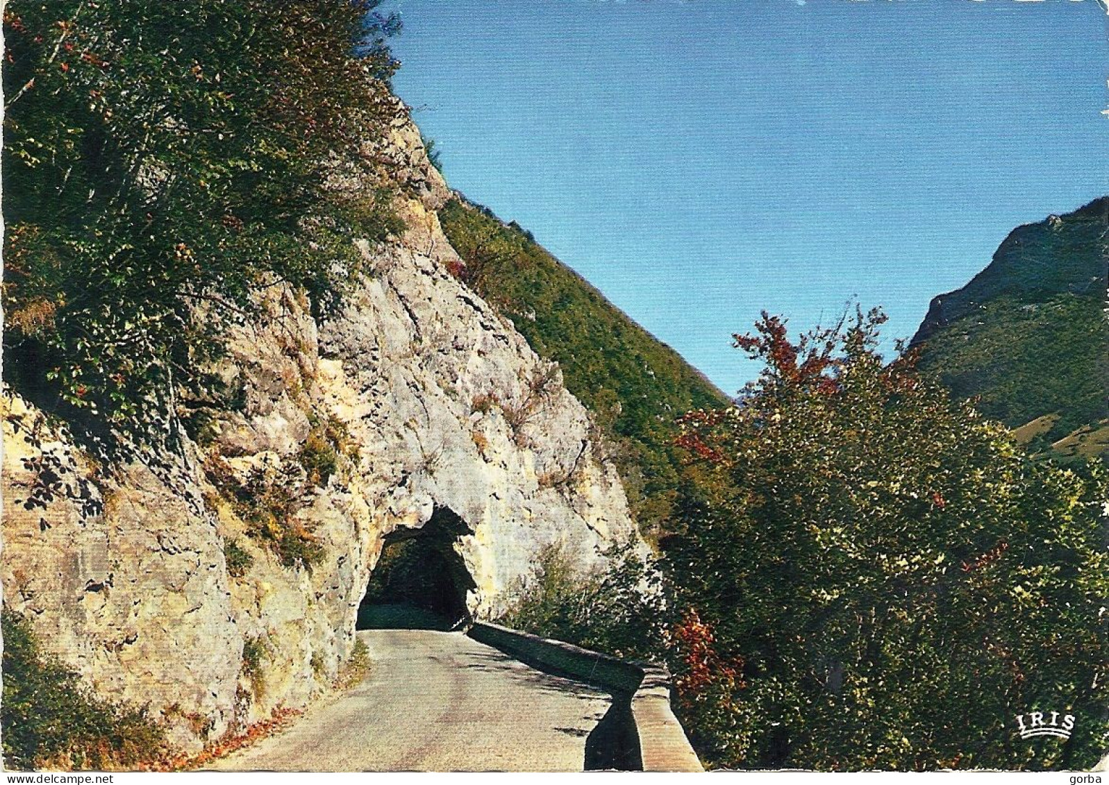 *CPM  - 38 - Route Pittoresque Dans Le VERCORS - - Vercors